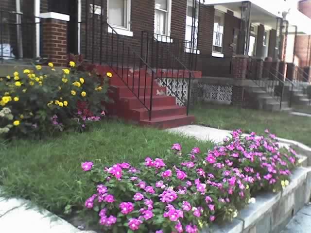 1197676645_ef8de06268_o