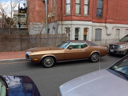 city_ride_popville