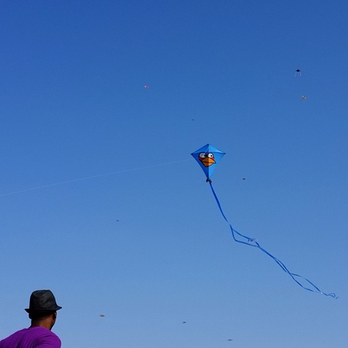 8603621029_1cc0716752