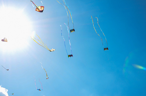 8605224114_a9d0c3aa1e