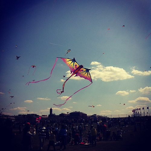 8606600510_85dd41db72