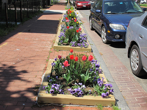 flower_boxes