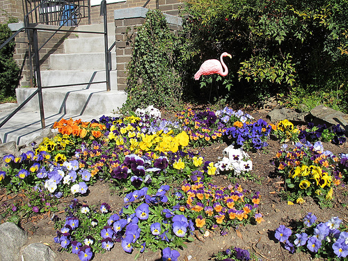 garden_columbia_heights
