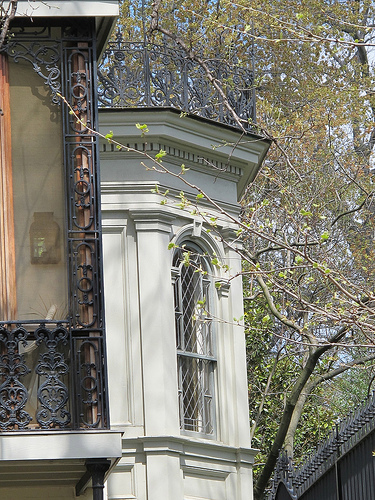 georgetown_window