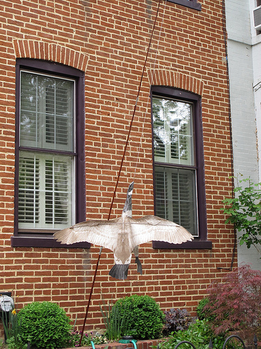 lawn_decoration_goose_fishing_pole_eastern_market
