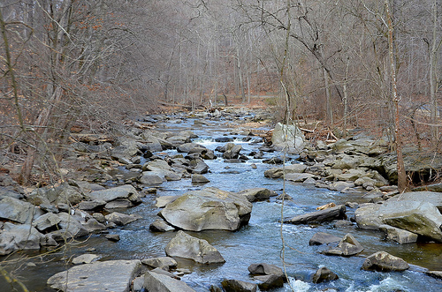 rock_creek_park_clean_up
