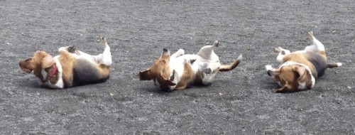 rolling3