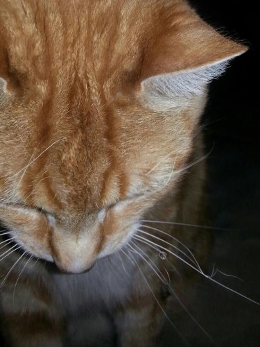 Colby April 2013