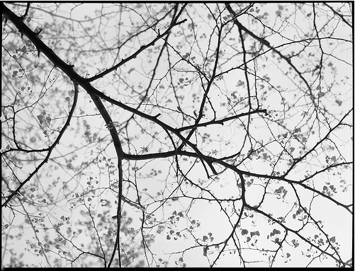 Screen Shot 2013-05-07 at 10.51.03 AM