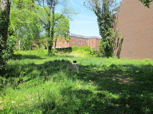 benin_woodley_park_land