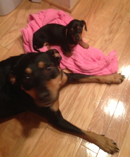 big_and_small