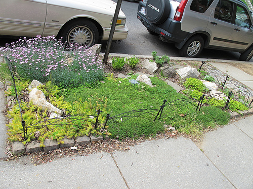 columbia_heights_curb_garden