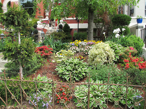 columbia_heights_garden