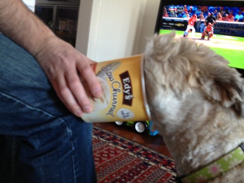 dog_ice_cream