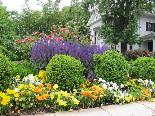 garden_mt_pleasant