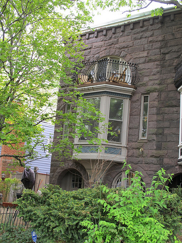 house_popville