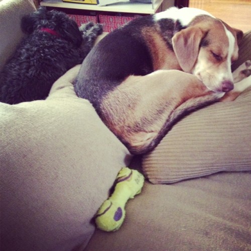photo (29)