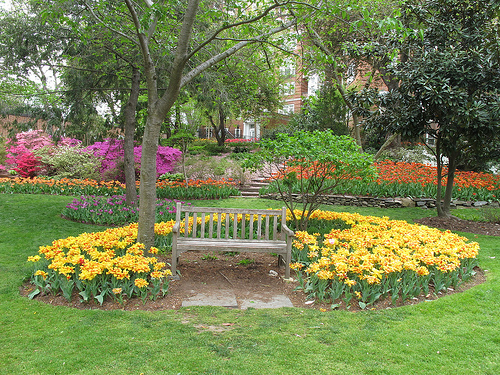 woodley_marriot_flowers