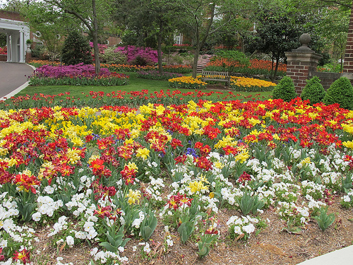 woodley_marriot_flowers_props_to_gardners