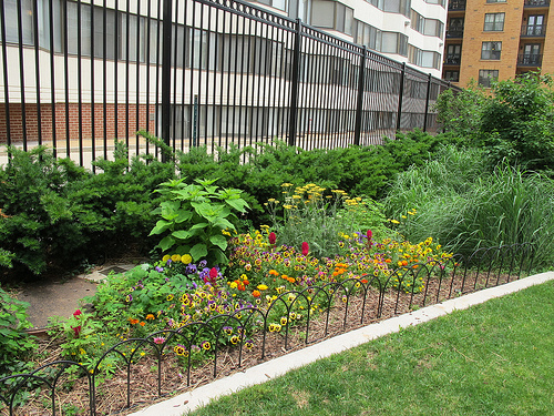 10th_st_community_park_dc_back