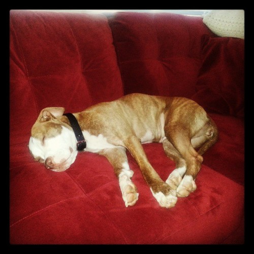 Cami Sleeping
