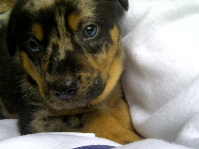 It's Winston!