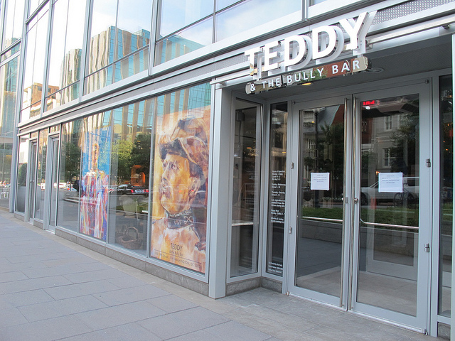 Teddy_bully_bar_front