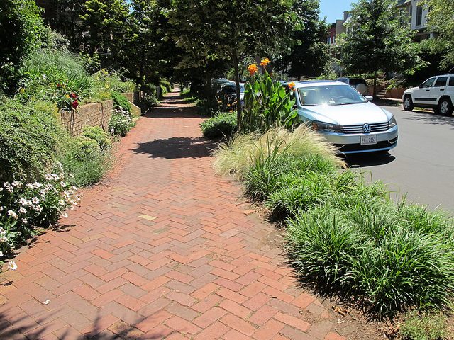 curb_garden_popville