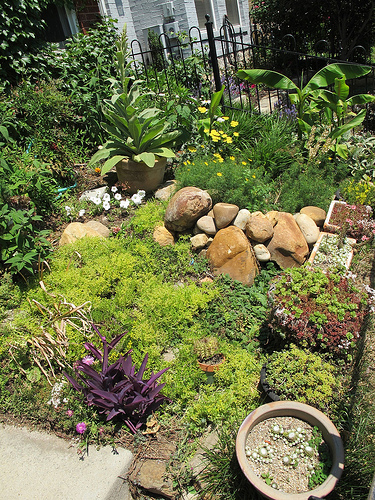 desert_themed_garden_popville