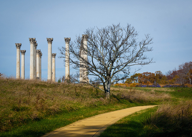 national_arboretum