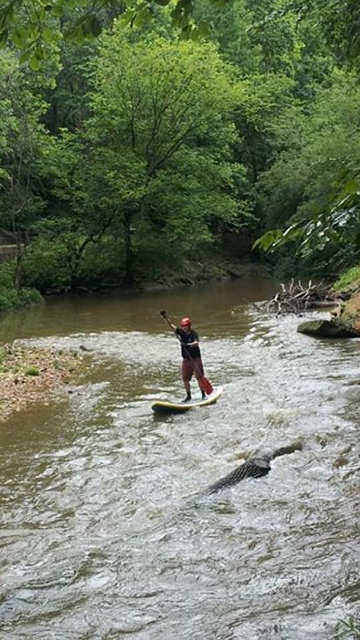 stand_up_paddler_rock_creek