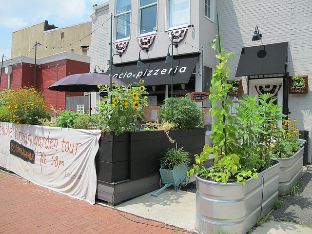 Bacio_Pizzeria_bloomingdale