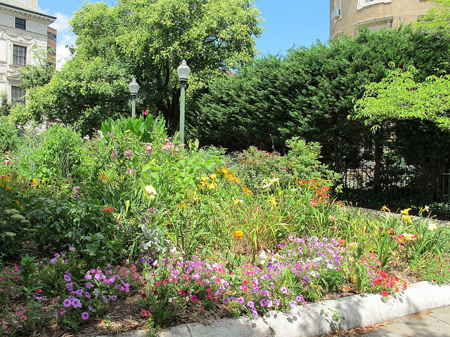 dupont_garden