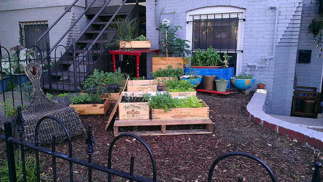 garden_popville