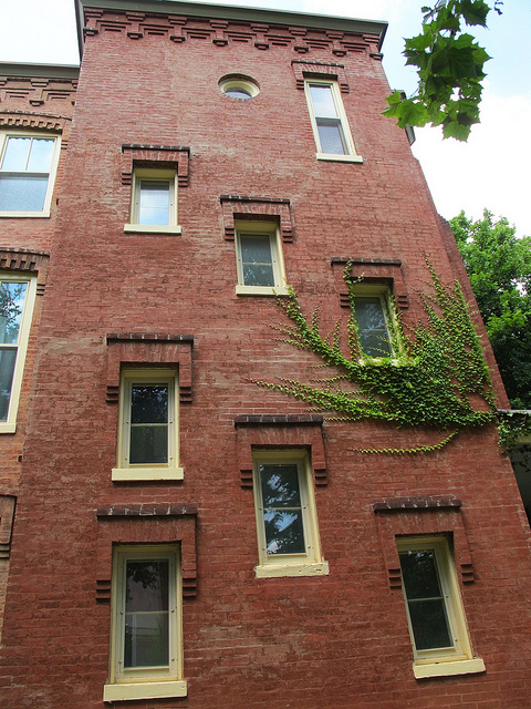 house_windows