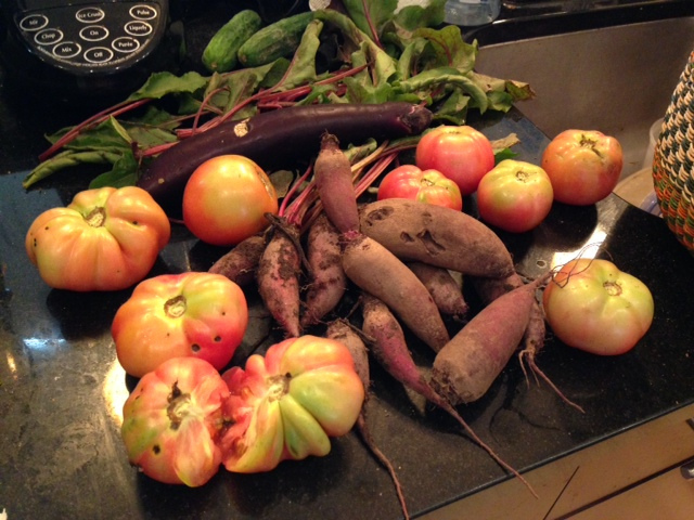 tomato_contest_popville