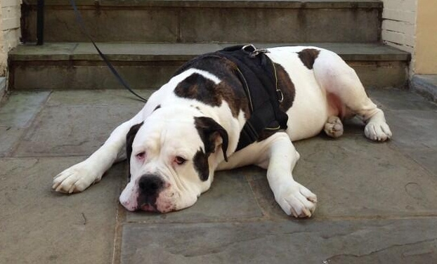 9444717996_f0d1b54d80_z