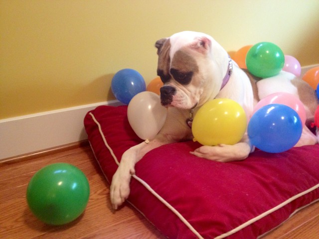 Beatrice Turns 2