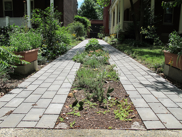 driveway_garden_capitol_hill