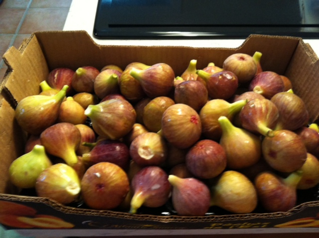 figs_popville_arlington
