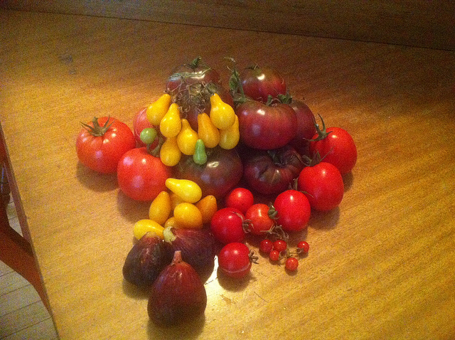 garden_haul