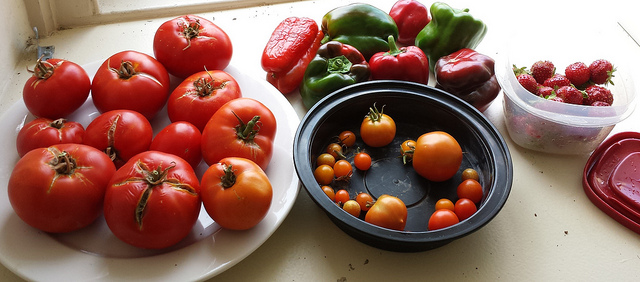 garden_haul_popville