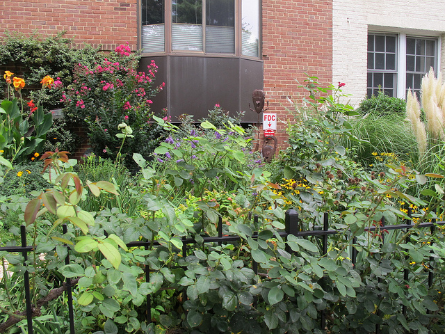 garden_lawn_decorations