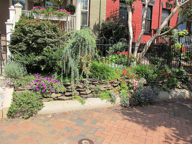 garden_popville