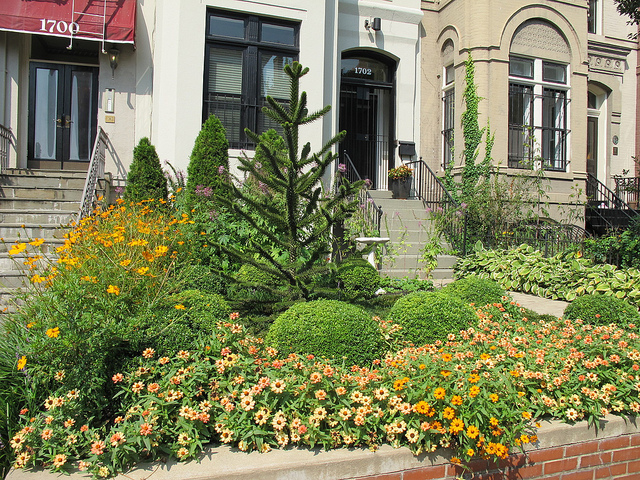 garden_popville_dupont