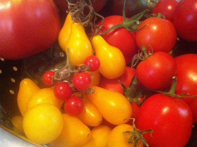 garden_tomatoes_popville