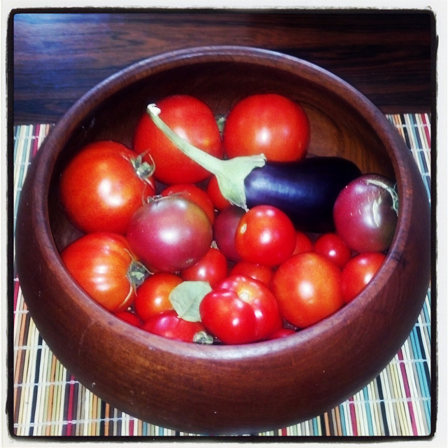 tomato_contest_popville