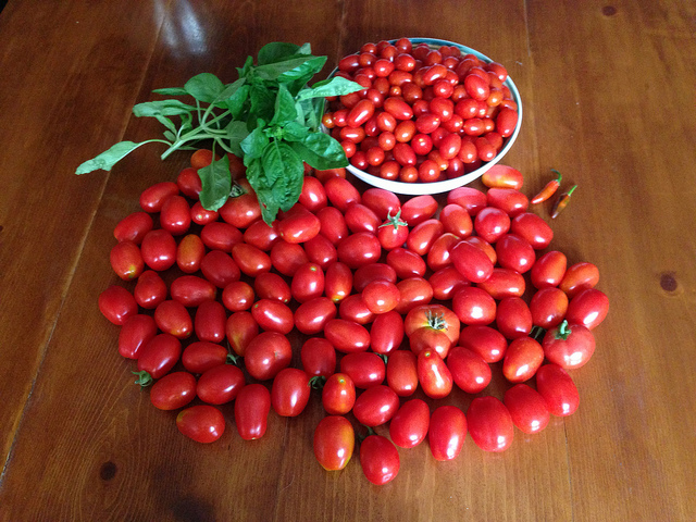 tomato_contest_popville