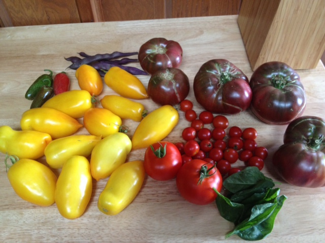tomato_garden_contest_popville