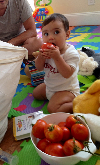 tomato_kid_popville_contest